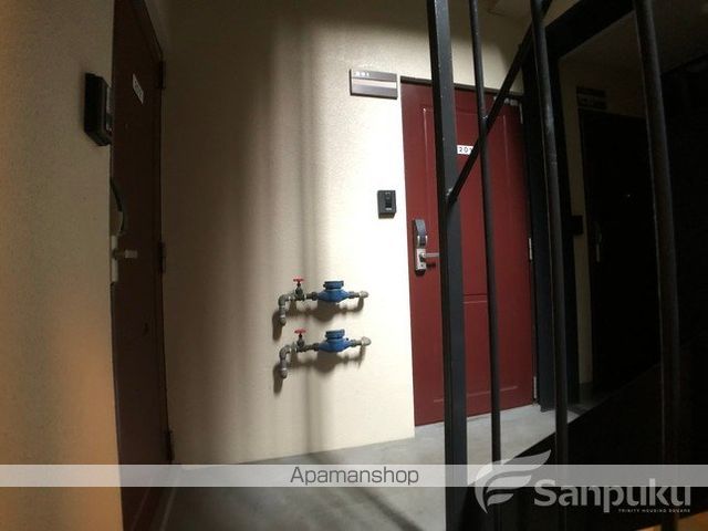 アルフォンソのその他写真