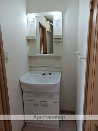 ジョイリバーⅡ[2LDK/58.53m2]の洗面所