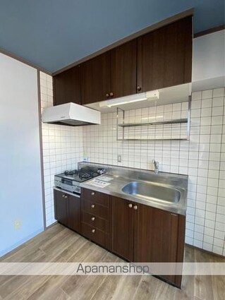 柳ハイツ[2DK/43.06m2]のキッチン