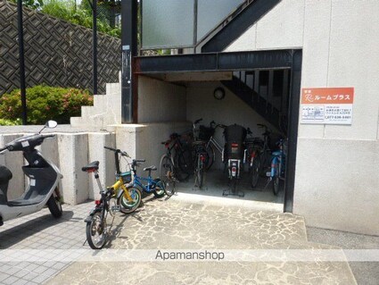 ロイヤルエクセーヌⅡ[2DK/48.7m2]の共用部4