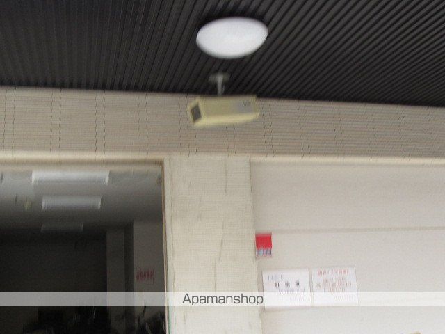 ポポラーレのその他写真