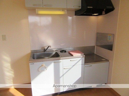 ミウ月が丘[1LDK/43.02m2]のキッチン