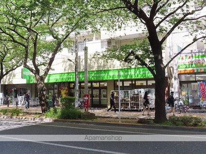 アリーチェ新江古田[1K/25m2]の周辺6