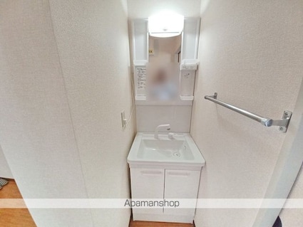 ドリームレジデンス氷鉋　Ｃ[2DK/47.91m2]の洗面所