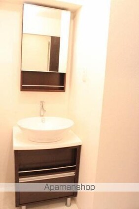 パロス　バーデス　ＡＰＴ[1R/31.59m2]の洗面所