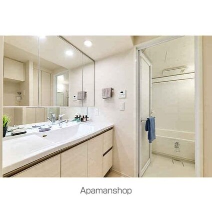 コンフォリア東上野[2LDK/50.58m2]の洗面所