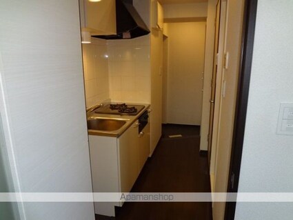 フェニックス代田橋[1K/21.66m2]の玄関