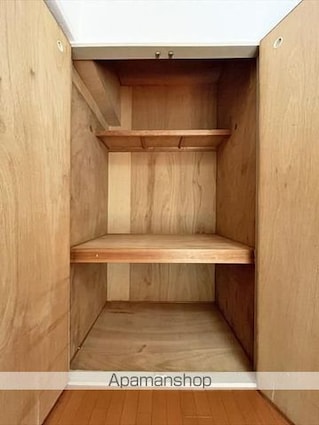 サンシャイン緑町Ⅱ[1R/19.8m2]の収納
