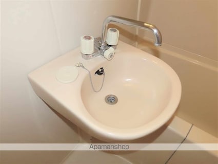 レオパレスブール・ドゥ・ネージュ[1K/20.28m2]の洗面所