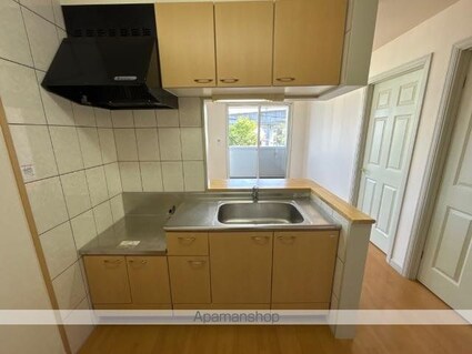 パークサイド彩園Ⅱ[2DK/55.45m2]のキッチン2