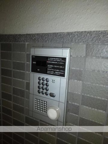ダルウィニーの内装写真