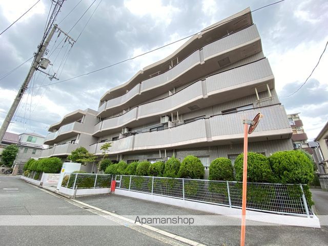 シロハイヌ小阪