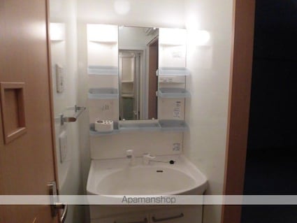 東京都国立市谷保[1K/31.51m2]の洗面所