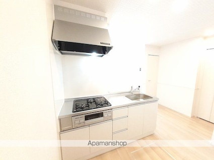 リアン　レーヴⅡ[1LDK/50.08m2]のキッチン