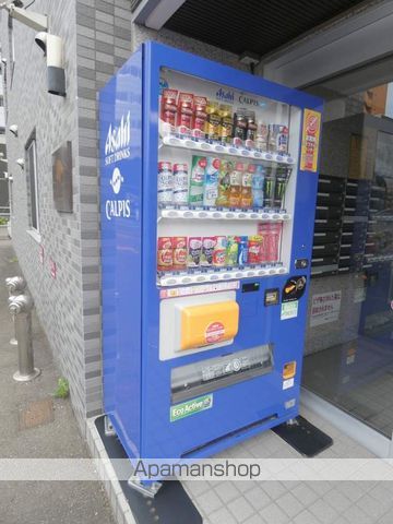 カノントヨヒラのその他写真