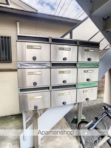 プリムローズのその他写真