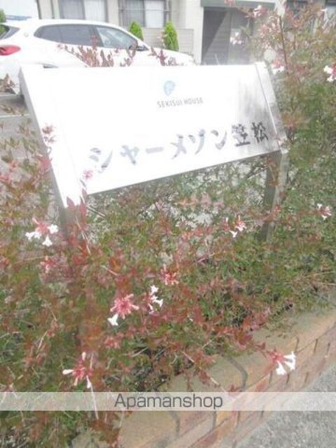 和歌山県和歌山市井ノ口[3DK/54.07m2]のエントランス