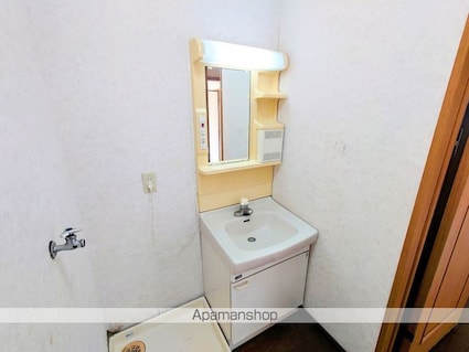 アイリスハイツ[2DK/49.8m2]の洗面所