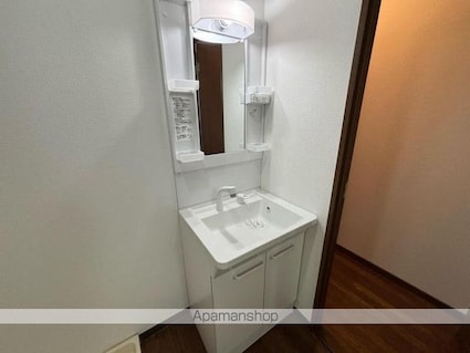 ルミナス５５[3LDK/67.26m2]の洗面所