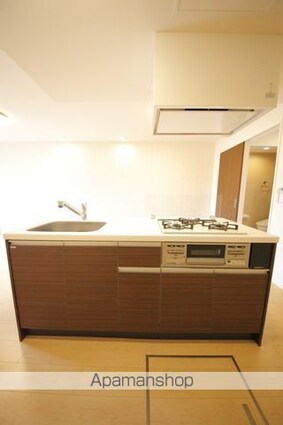 フィオーレ西平山[1LDK/48.21m2]のキッチン