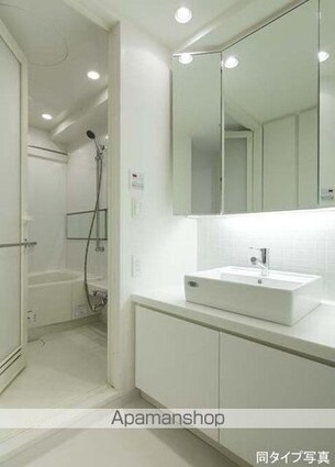 コンフォリア日本橋人形町[1SLDK/54.89m2]の洗面所