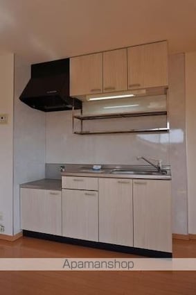 ＡＴＬＡＮＴＩＳ[1LDK/45.98m2]のキッチン