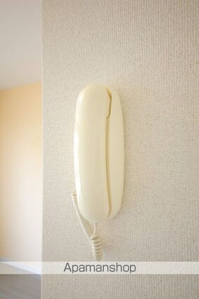 テラス明日香[1K/24.5m2]のセキュリティ