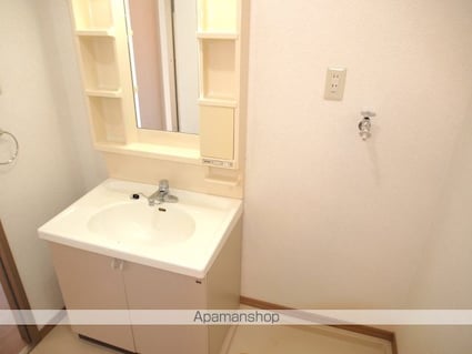 アベニューディアス[2K/40.57m2]の洗面所