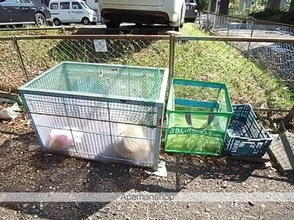 フローラルカネコ[2K/37.18m2]の共用部1