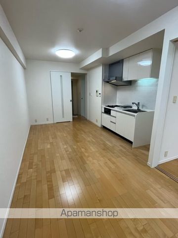 レジディア日本橋浜町の内装写真