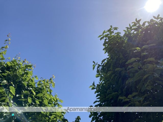 花梨コートのその他写真