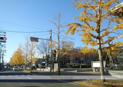和歌山県和歌山市打越町[1K/16.24m2]の周辺6