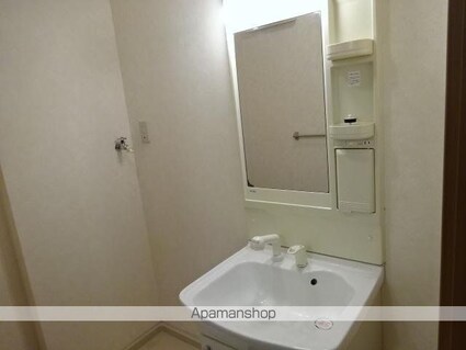 ピア・ウィッシュ[2LDK/51.66m2]の洗面所