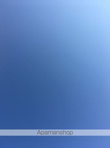 ルミエール東中振B棟のその他写真