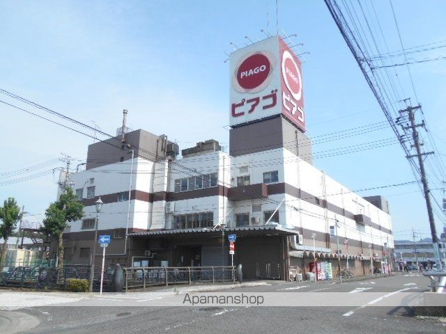 プリムローズの周辺写真