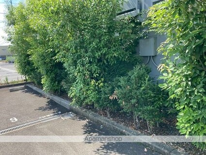 レオパレス折立[1K/23.71m2]の庭