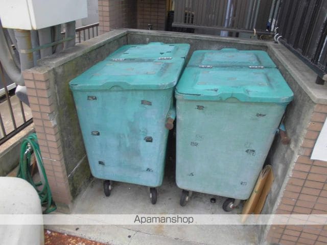 プルメリアのその他写真
