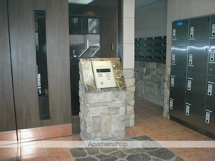 フェニックス新宿７丁目[1K/20.89m2]のエントランス2