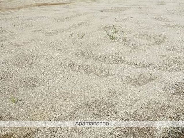 セレスティア大谷田IIIの外観写真