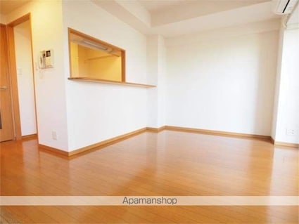 レジディア文京音羽[1SLDK/54.29m2]の内装5