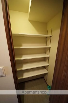 コンフォリア新宿イーストサイドタワー[1R/41.23m2]の収納2