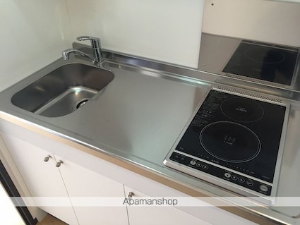 レオネクスト新組　Ⅱ[1K/31.21m2]のキッチン