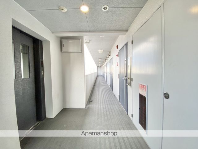 アミスタ菅原のその他写真