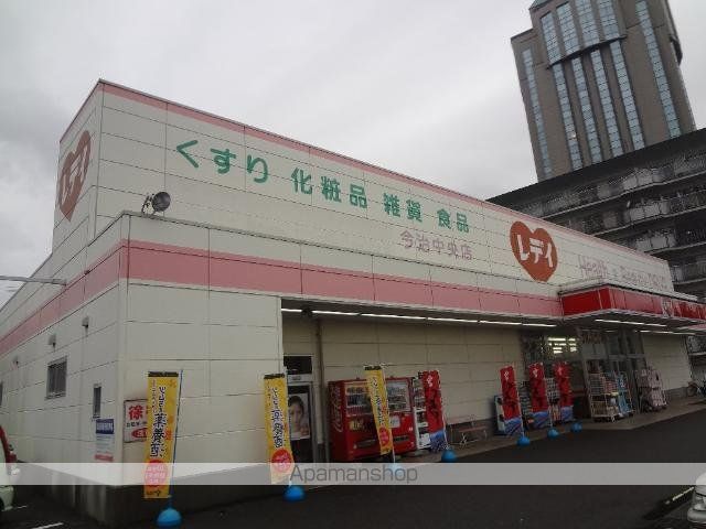 ビションフリーゼIIの周辺写真