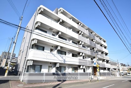 レーベンス柏木[1K/27.06m2]の外観1