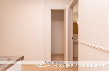 ルジャーダ[1LDK/50.05m2]の収納