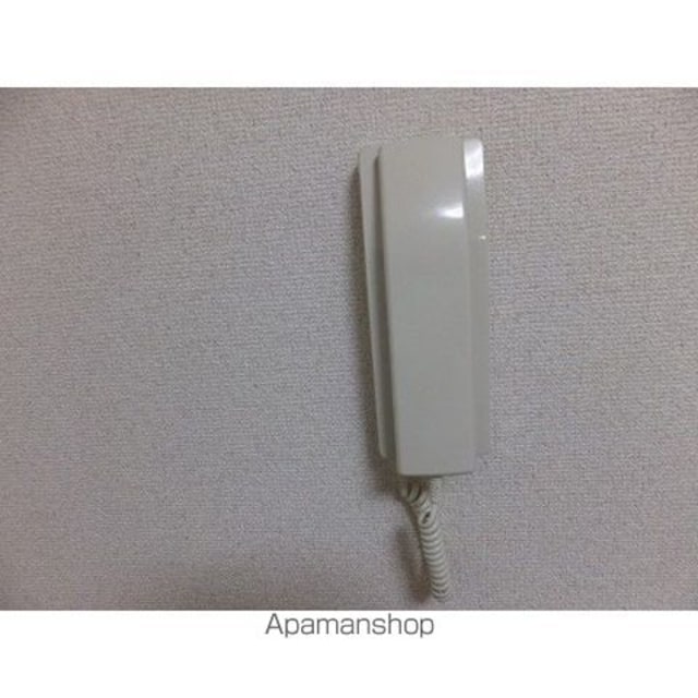 セレーナロカ[2DK/37.26m2]のセキュリティ