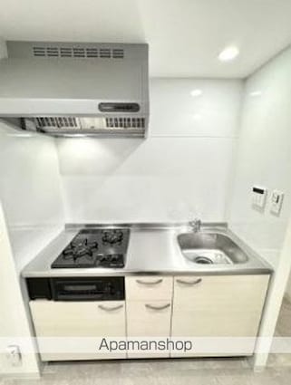 ＳーＲＥＳＩＤＥＮＣＥ中新町ａｖｅｌｉｓ[1K/29.04m2]のキッチン