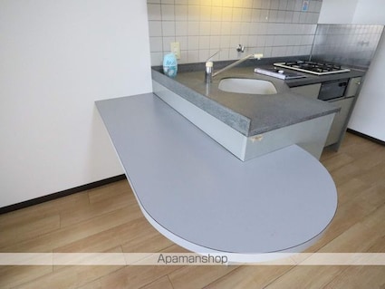 ＤＯＭＵＳ２１[1DK/33.39m2]のその他設備