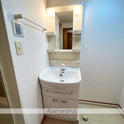 リバーレイクヒルズ[1R/25.97m2]の洗面所